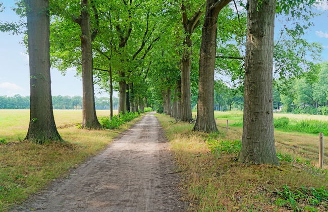 Cottage in Schijf With Garden - Foto 31