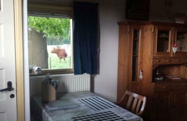 Cottage in Schijf With Garden - Foto 16