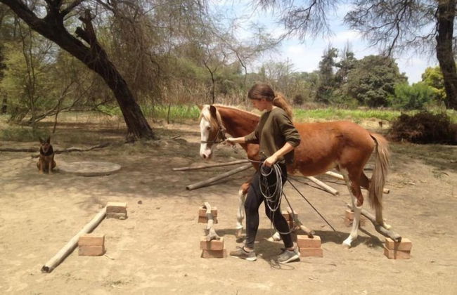 Rancho Santana Peru - Foto 13