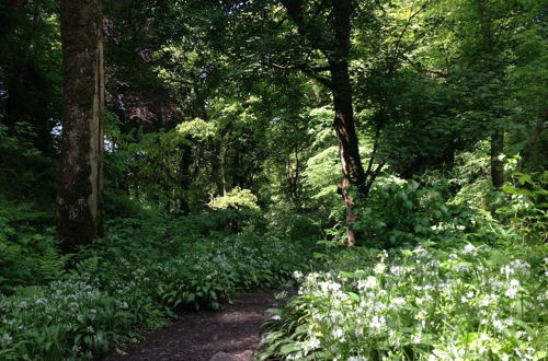 Foto 17 - Stunning Premium Yurt in Kelburn Estate Near Largs