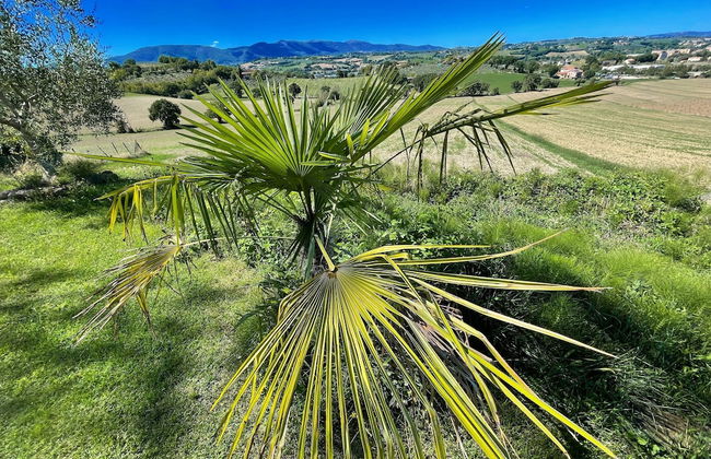 Spoleto Poolside - apt Sleeps 4 on Beautiful Campus - 1 km max Spoleto Central - Foto 32