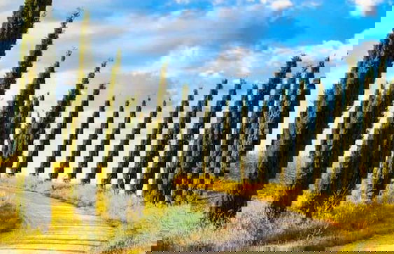 Beautiful Lux Apartment Chianti Firenze Area Italy - Foto 64