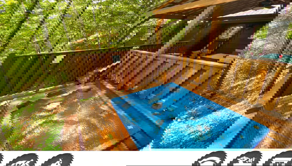 Image principale