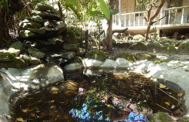 Dogs and Fish Dream Land - Photo 29