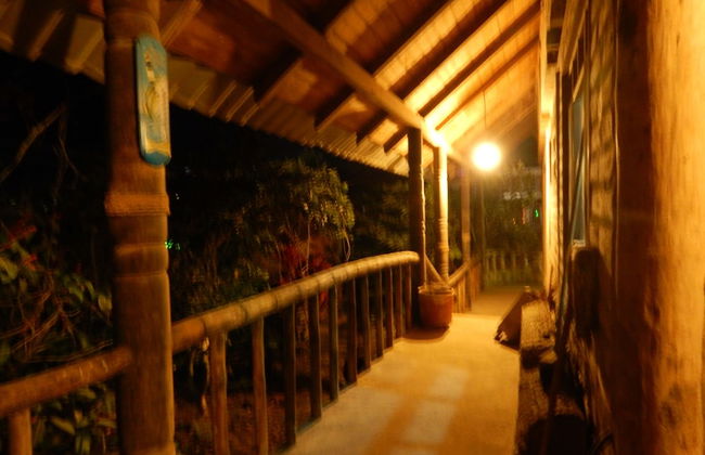 Dogs and Fish Dream Land - Photo 40