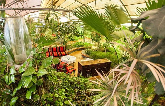 Dar Diaf Bouchaoui - Foto 34