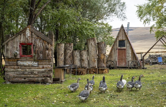 Doğunun Taş Evleri - Photo 70