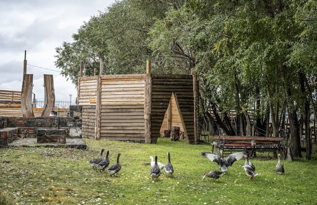 Doğunun Taş Evleri - Photo 66