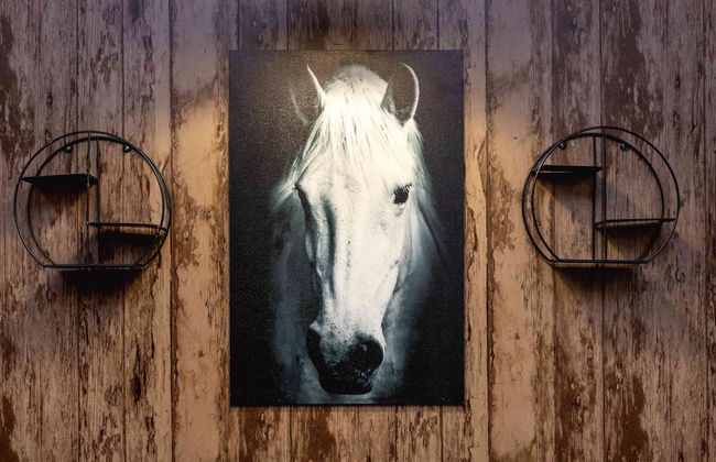 More Apartments na Estonskoy 37 k 9 477 - Foto 24