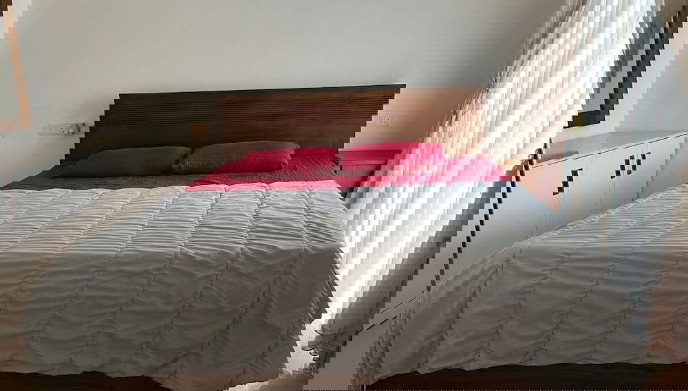 Imagem principal