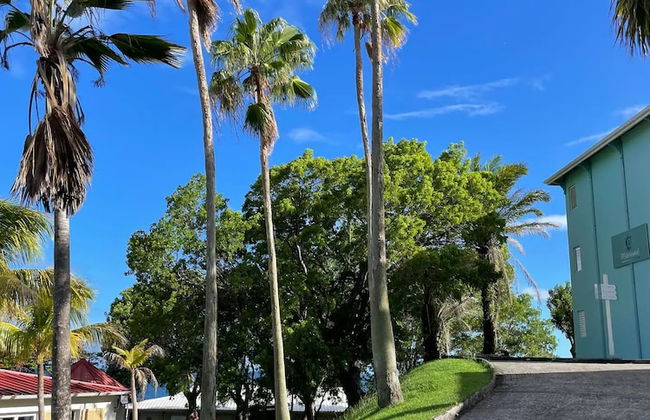 Suites Diamond Paradise - Foto 31