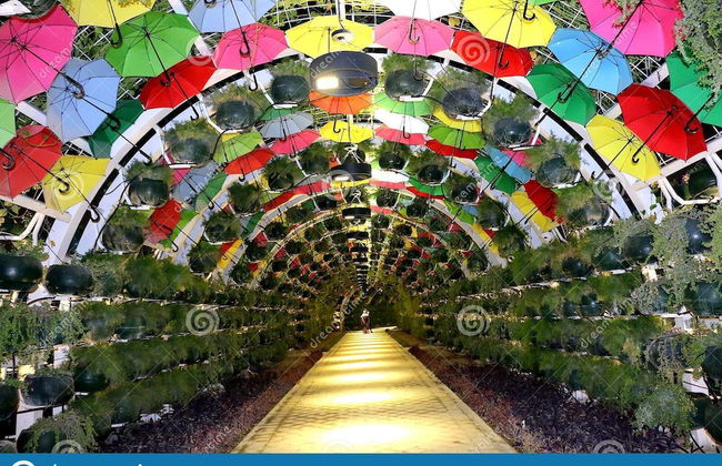 Mina Hotel and Residences By the Torch - Photo 46