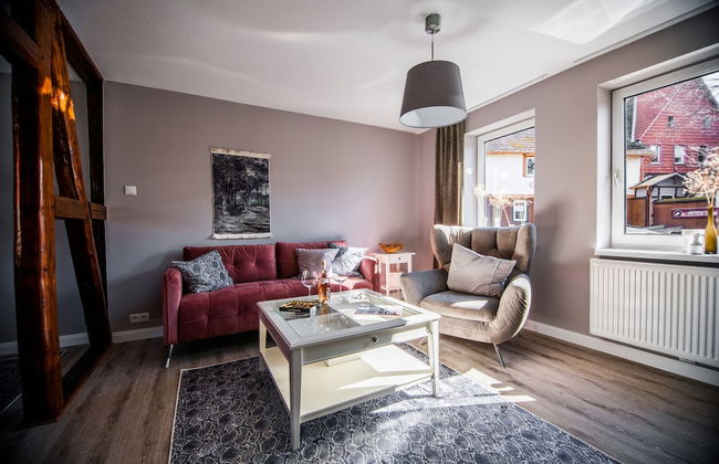 Apartment in Harz With Terrace and Fireplace - Foto 9