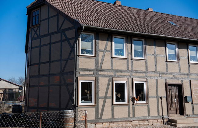 Apartment in Harz With Terrace and Fireplace - Foto 1