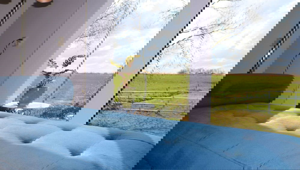 Image principale