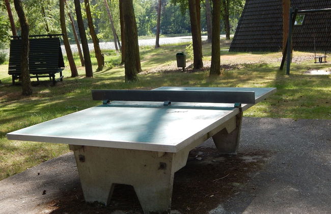 Holiday Home in North Limburg - Foto 24
