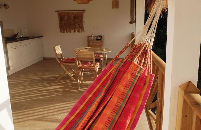 Coco Soley - Foto 72