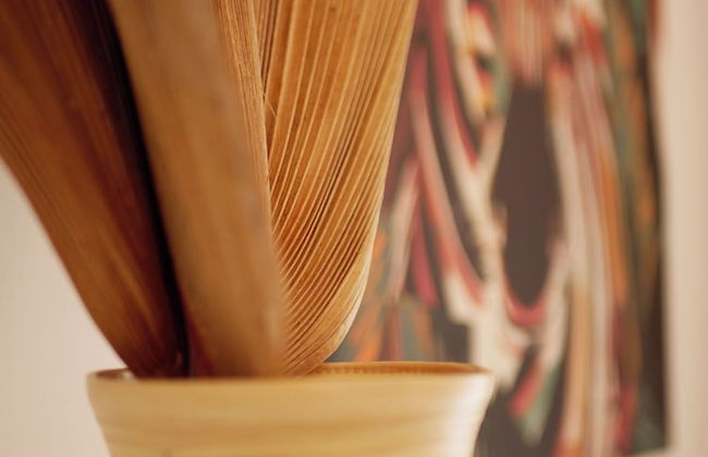 Coco Soley - Foto 16