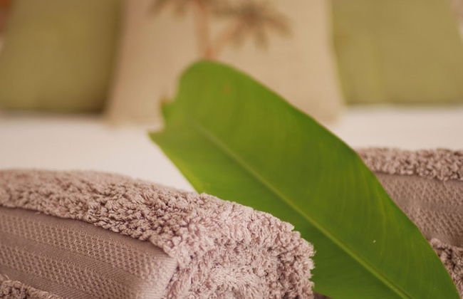 Coco Soley - Foto 22