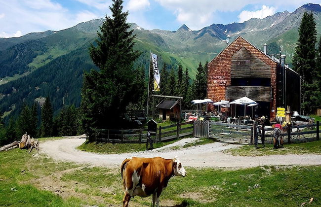 Apartment in Navis Near Berger Alm Ski Resort - Foto 21
