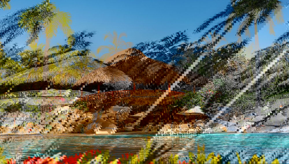 Image principale