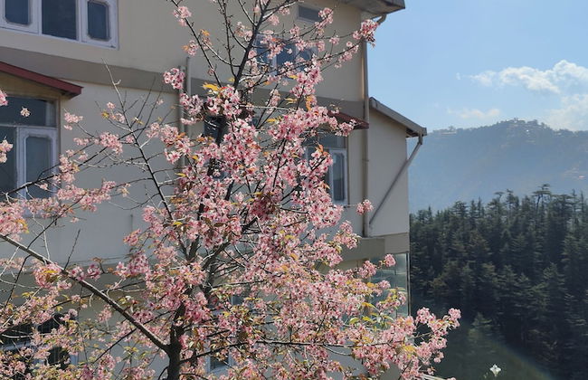 Vatsalyam Homestay - Photo 30
