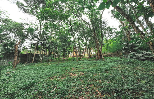 Chalé Encantador na Granja Viana - Foto 39