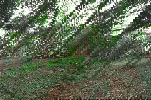 Foto 38 - Chalé Encantador na Granja Viana