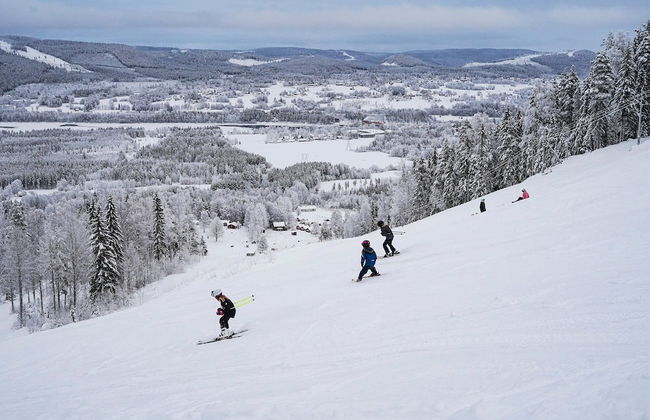 Holiday Home Bispgården - Foto 20