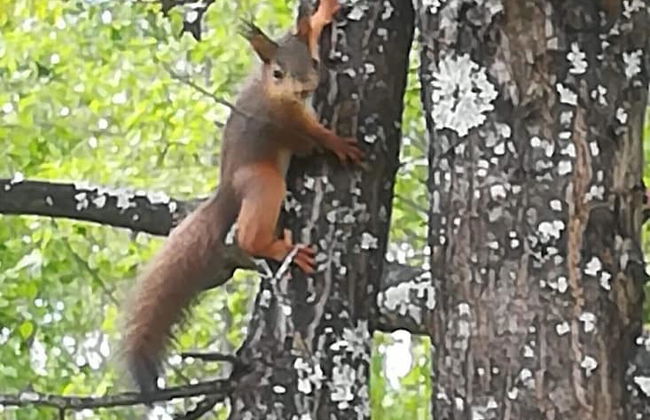 Holiday Home Bispgården - Foto 16