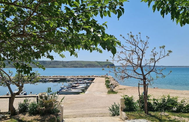 Kamp Miočić - Photo 46