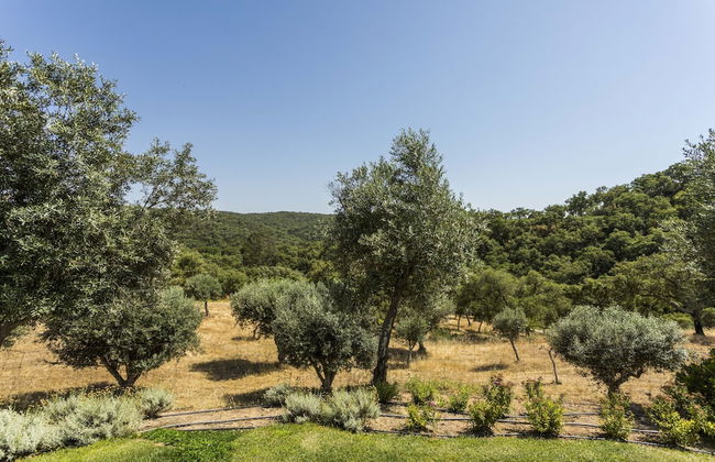 Grandola Mountain Paradise by Cadenzalux - Foto 16