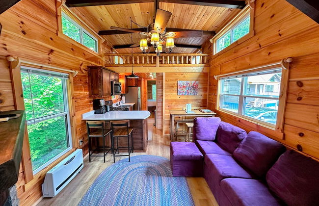 B11 NEW Awesome Tiny Home With A C Mountain Views Minutes to Skiing Hiking Attractions - Foto 6