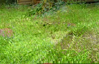 Foto 3 - Le Domaine Insolite de Brocéliande