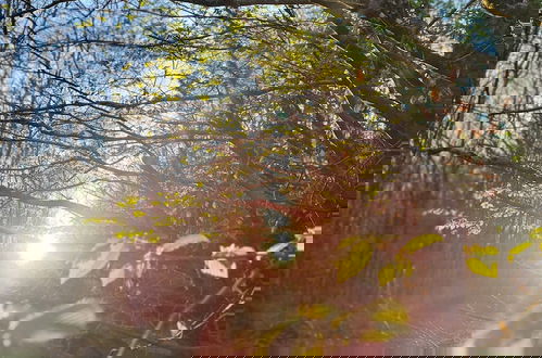 Foto 2 - Le Domaine Insolite de Brocéliande