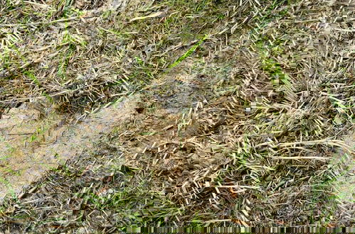 Foto 6 - Le Domaine Insolite de Brocéliande