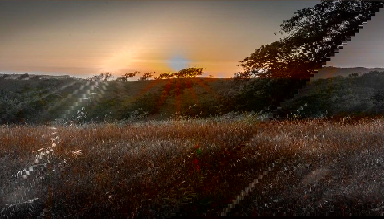 Photo 1 - Herdade da Maceira