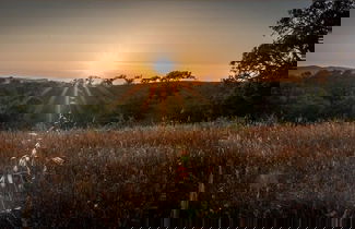 Photo 1 - Herdade da Maceira