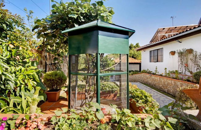 Private Pool Villa 20min by Porto - Foto 32