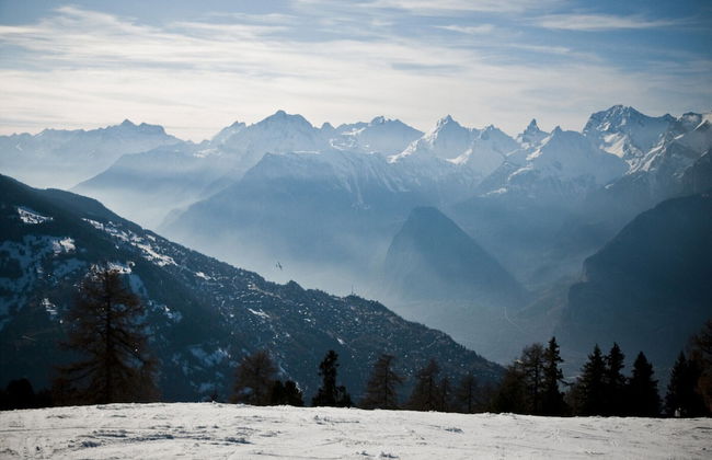 Apartment Surrounded With Nature - Foto 14