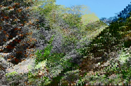 Foto 4 - Colibri Parque Tayrona