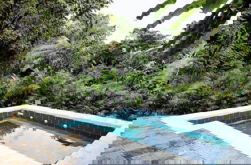Foto 9 - Colibri Parque Tayrona