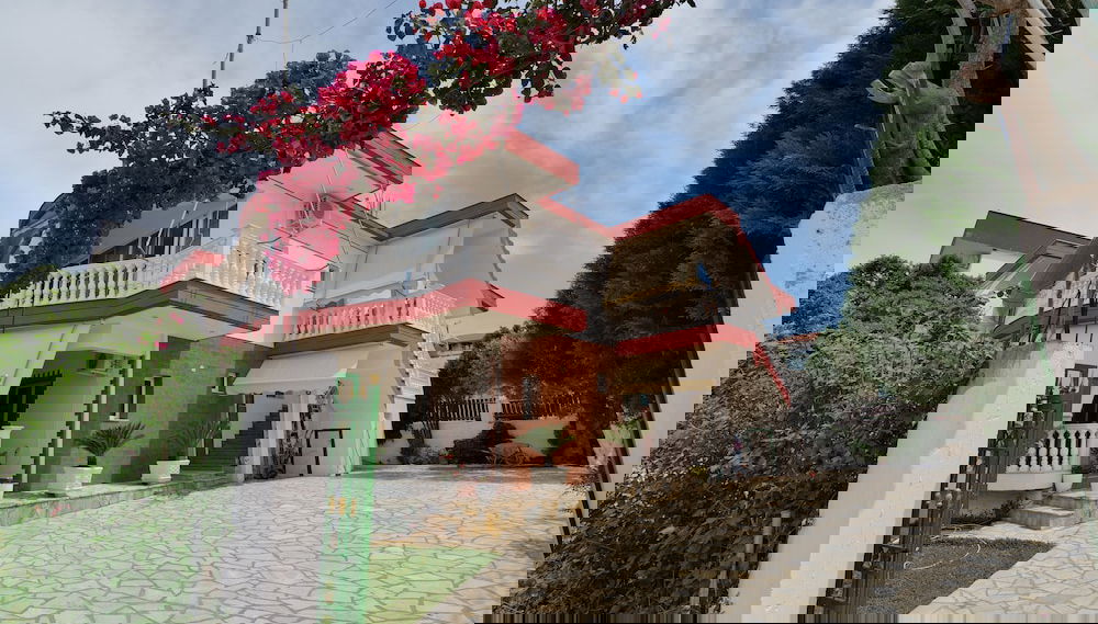 Imagem principal