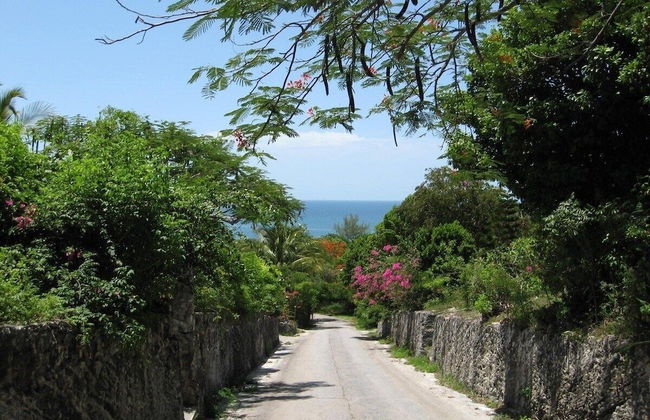 Bohemia Bungalows - Foto 80