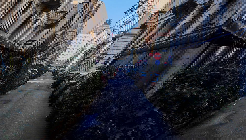 Image principale