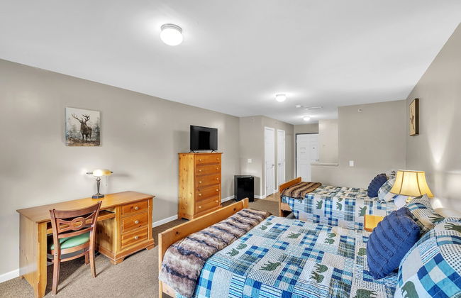 Green Goose Lodge - Studio Apt Sleeps 4 Condo - Foto 13