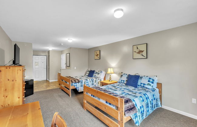 Green Goose Lodge - Studio Apt Sleeps 4 Condo - Foto 26