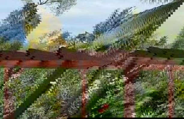 Villa Coco D'Amour - Foto 30