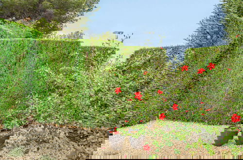 Photo 39 - Villa Montgo View