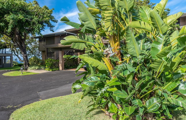 Kapalua Ridge Villas 2612 - Foto 40